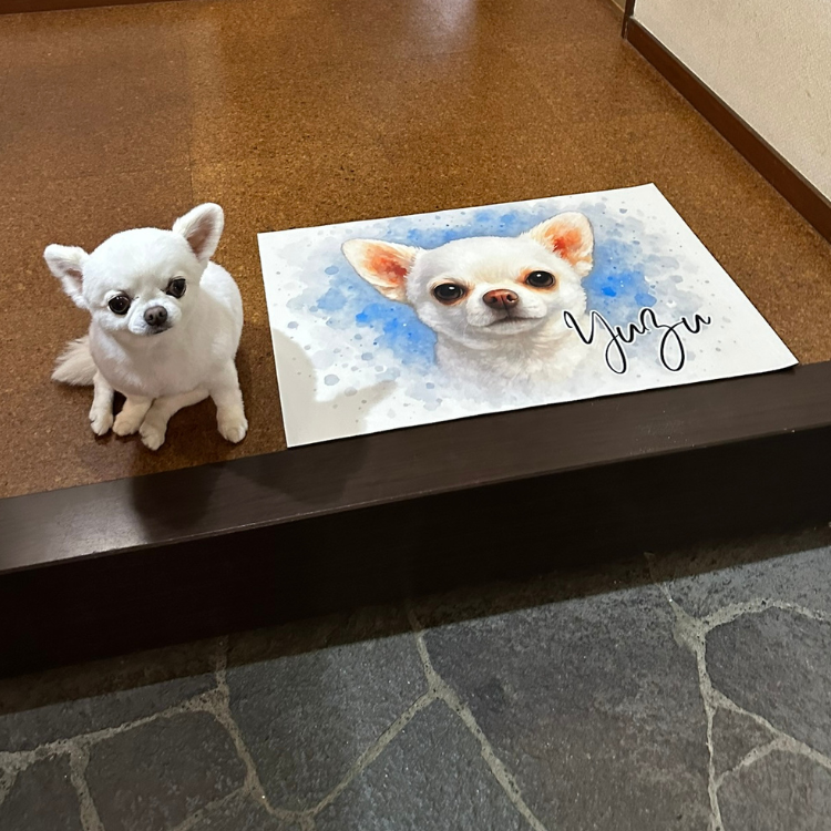 オンリーわんマット