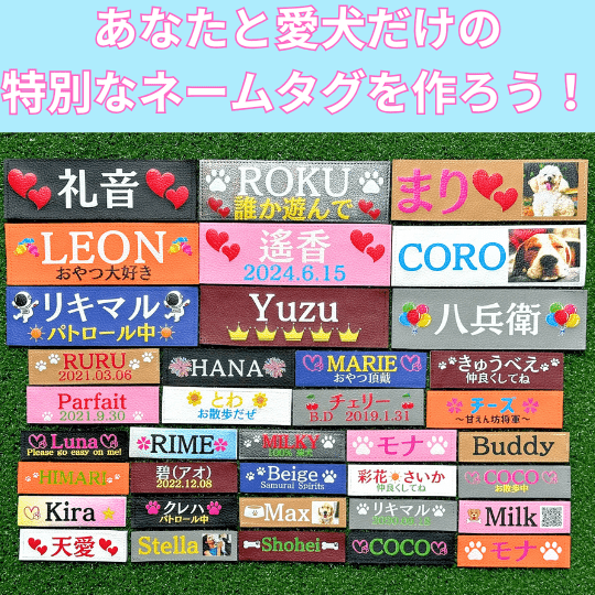PetFriends.jp PetFriends.jp