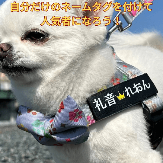 ”PetFriends.jp” 応援ハーネス
