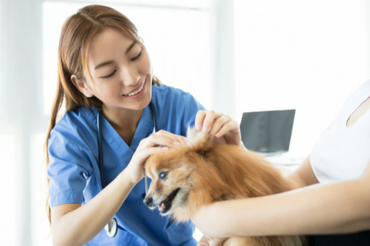 inu-kinkyuu-byouin-10