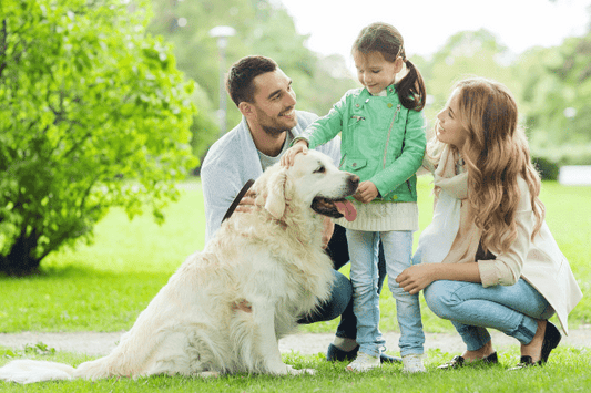 inu-kamuhitotokamanaihito-kazoku-16