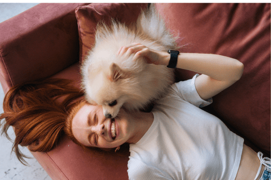 inu-zuttonametekuru-100