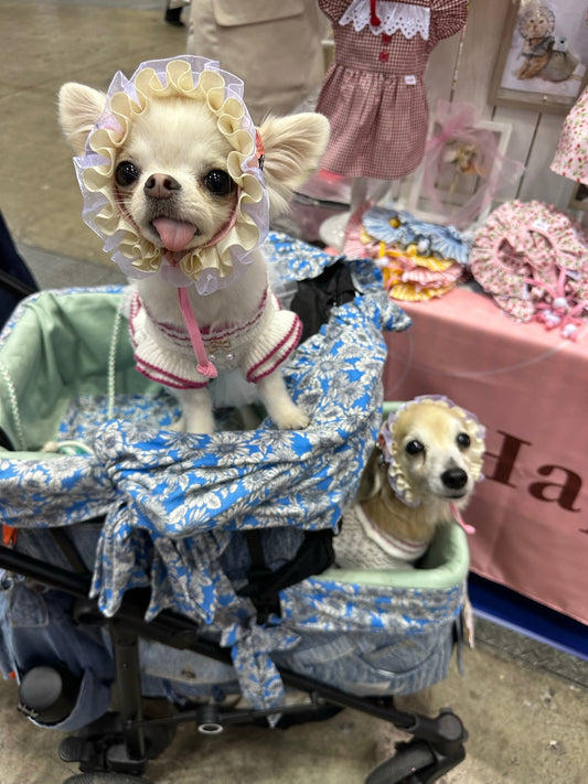 インターペット2023へ行ってきました！