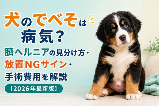 犬のでべそ