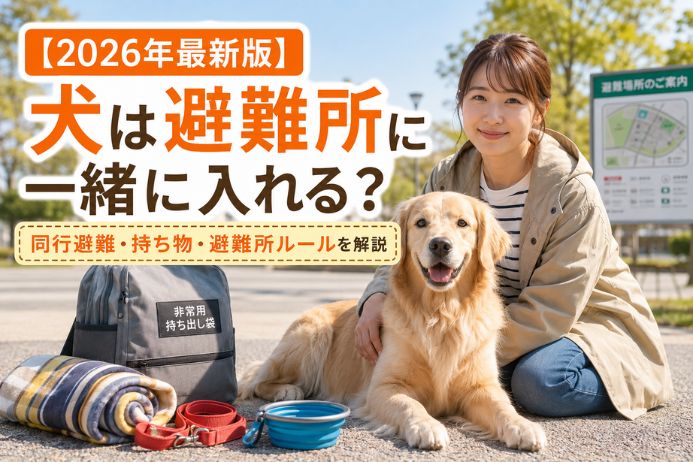 犬が避難グッズと一緒に座っている